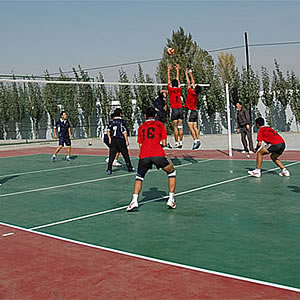 其它Volleyball court排球场