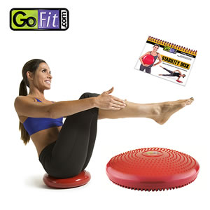 GoFit/Stability Disk